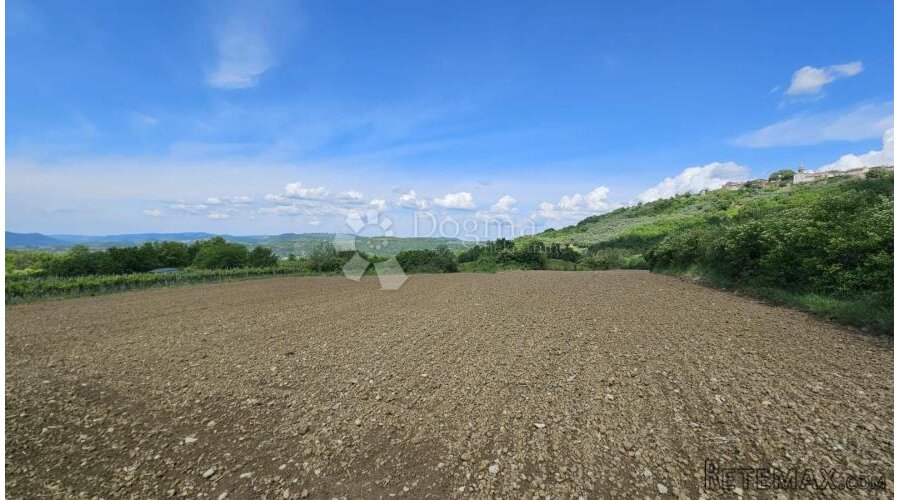 Draguć, veliko poljoprivredno zemljište, 11.030 m2 - 2