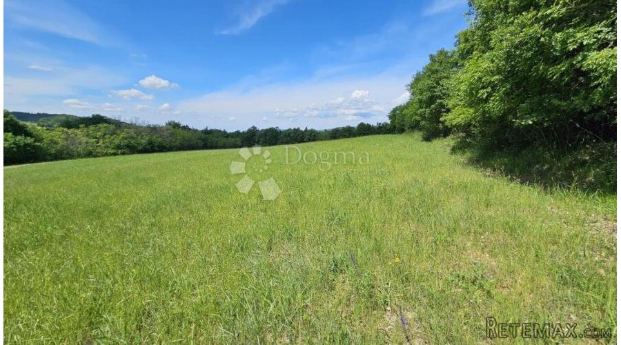 Draguć, veliko poljoprivredno zemljište, 11.030 m2 - 3