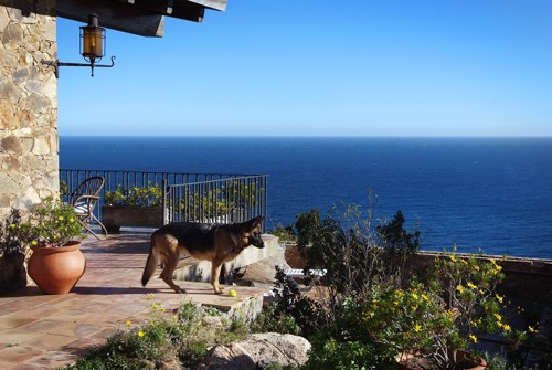 PEDRERA - HUTG-001118 Detached · Tamariu - 2