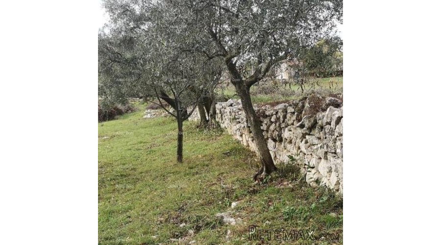 Prodaja građevinskog zemljišta sa pogledom na more, Fažana! - 4