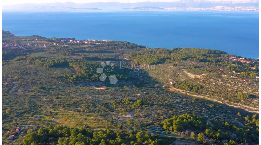 ZEMLJIŠTE OTOK BRAČ- IDEALNO ZA OPG!