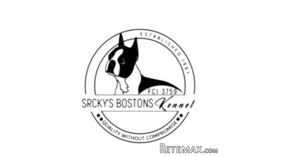 Boston terijer stenci - 3