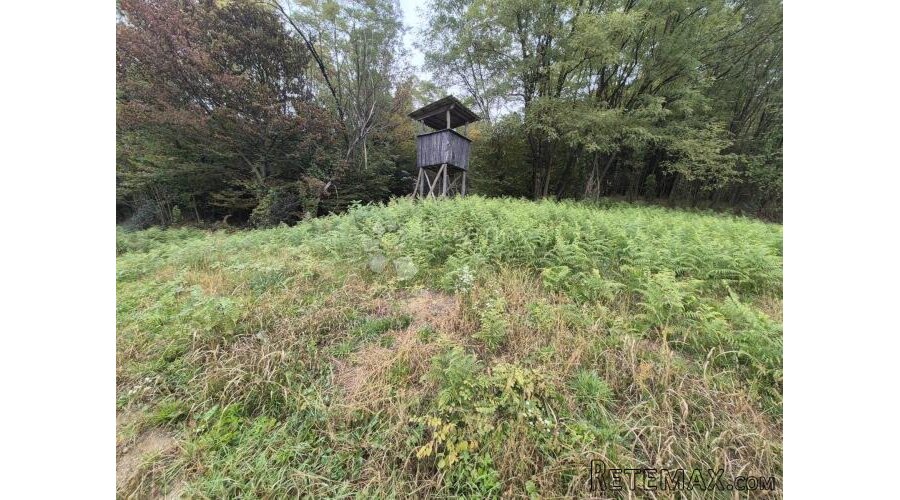 Zemljište 1.169m² na mirnoj lokaciji sa pristupnim putem nad