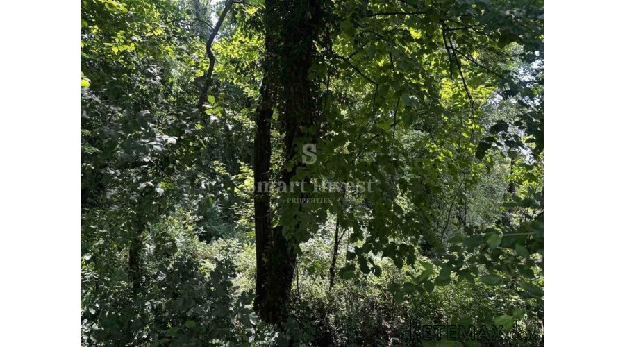 MATULJI, 2 zemljišta za poslovno-stambenu gradnju