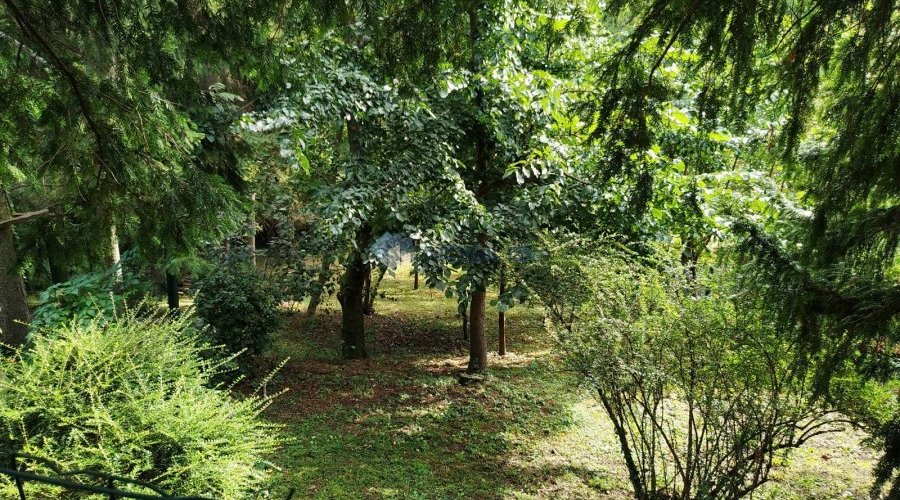 Zagreb, Maksimir (Remete)- obiteljska kuća - 11