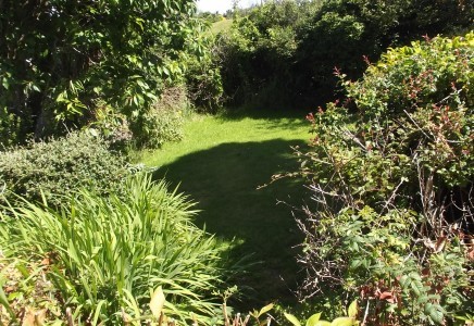 Property Wise - Estate Agents Isle of.. - 2
