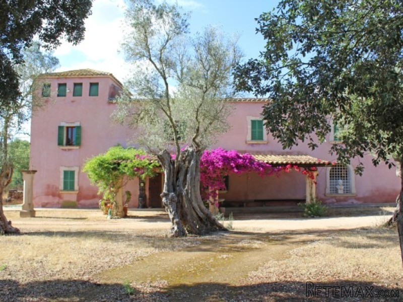 Charming Finca To Renovate In Algaida