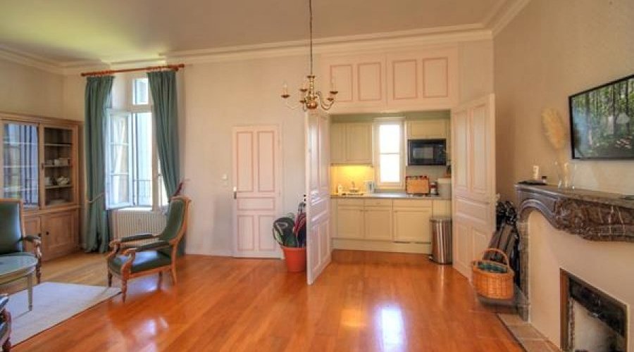 Les Forges (79) Luxury 1 bedroom apartment in a chateau with.. - 5