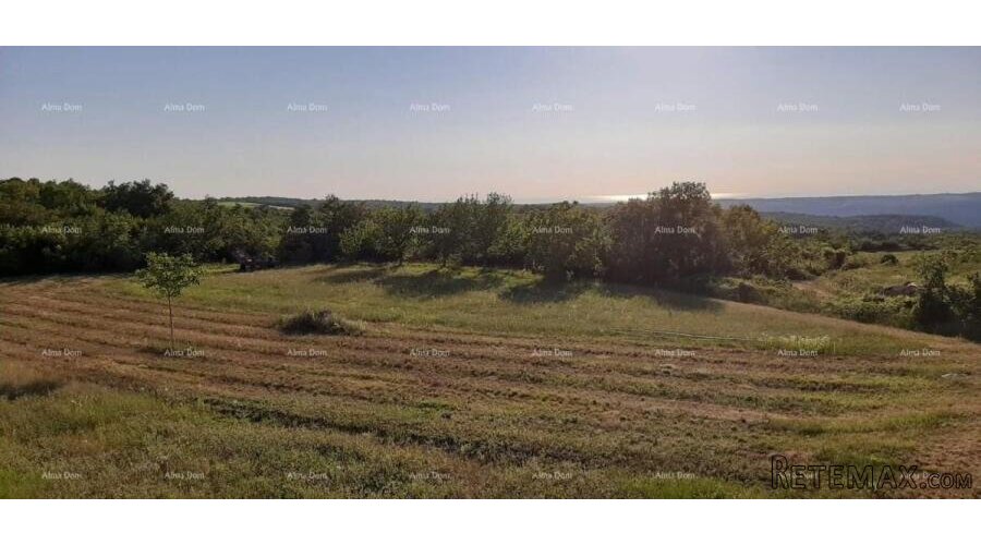 Prodaja građevinskog zemljišta. Vižinada. - 4