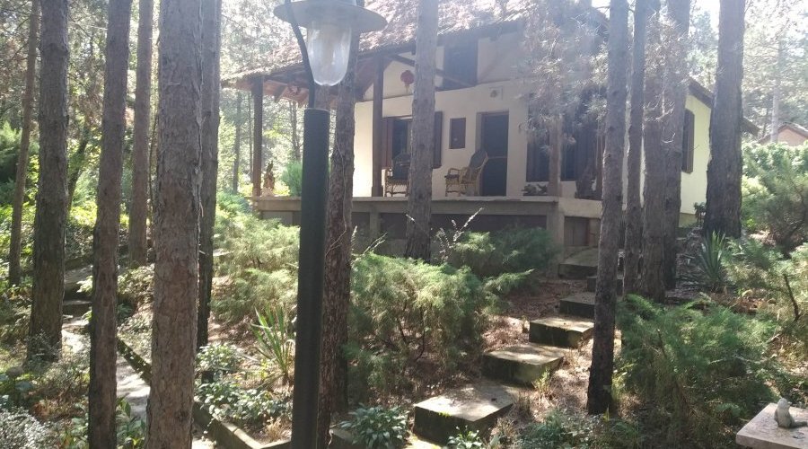 Kuća za odmor u srpskom stilu u borovoj šumi, 200m od Dunava