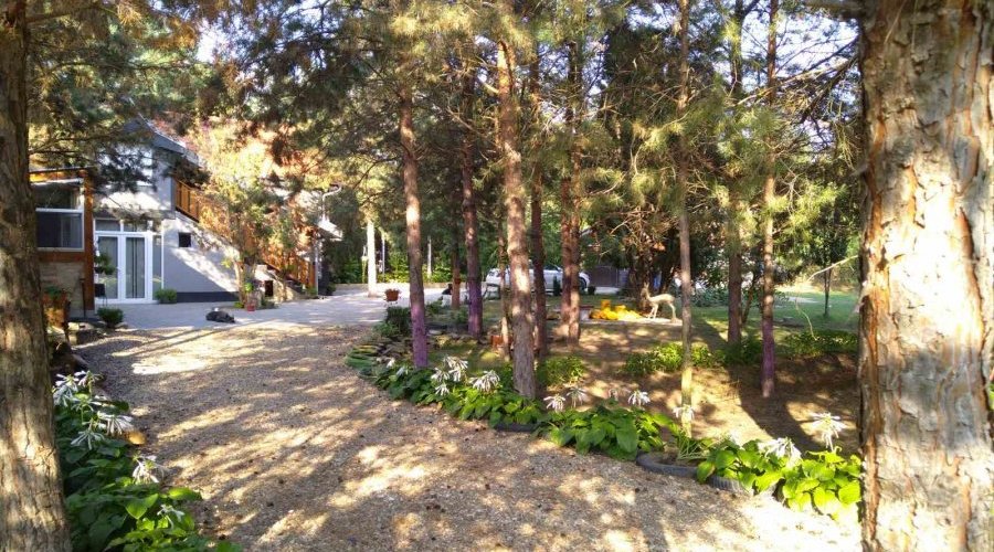 Kuca sa placem-Deliblatska pescara - 7