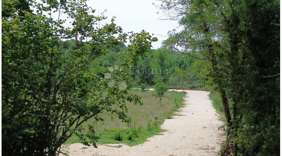 LABIN,okolica,veliko građevinsko zemljište na rubu sela - 3