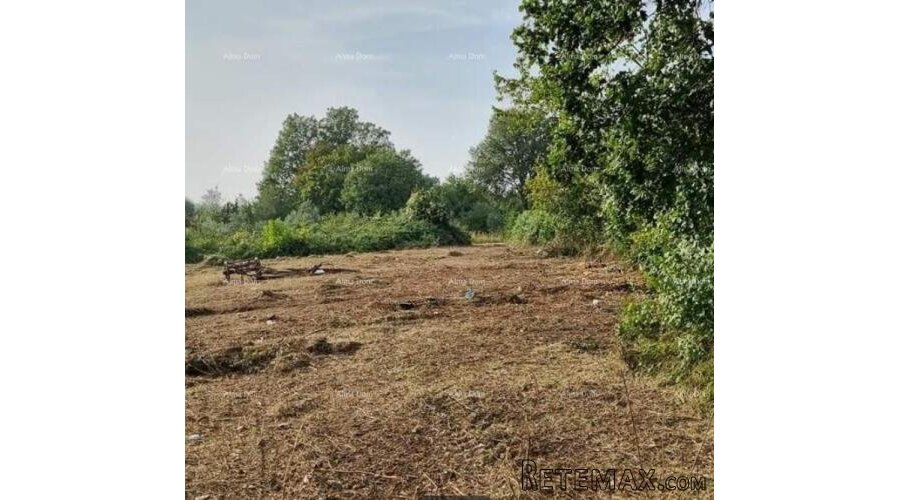 Brtonigla. Građevinsko zemljište. - 2