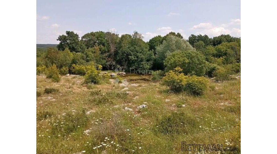 Poljoprivredno zemljište 3x 1315m2 - 2
