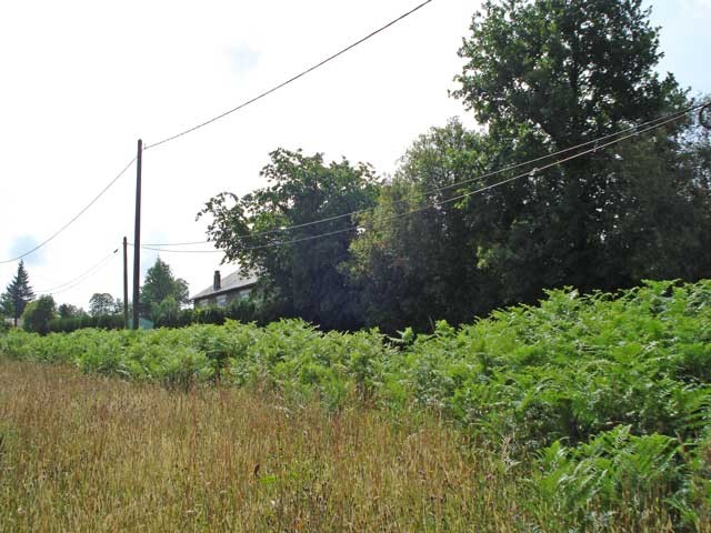 Building Plot In The Saint Mathieu.. - 2