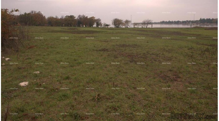 Prodaje se građevinsko zemljište, okolica Novigrada. - 2