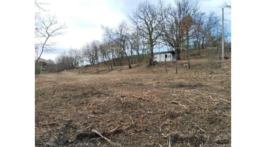 Prodaja građevinskog zemljišta. Pazin, Trviž - 4