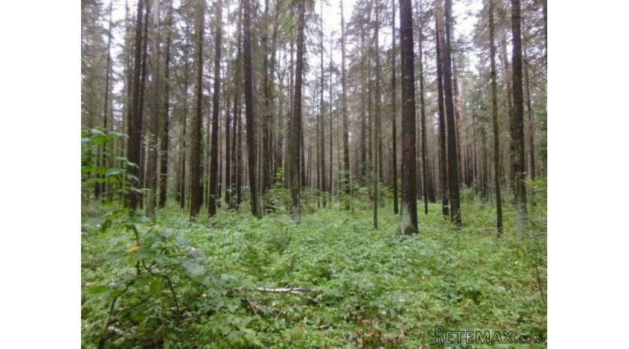 Старт продаж Уникальное место Река