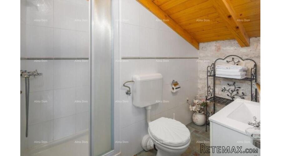 Prodaje se kuća sa bazenom, Tinjan - 2