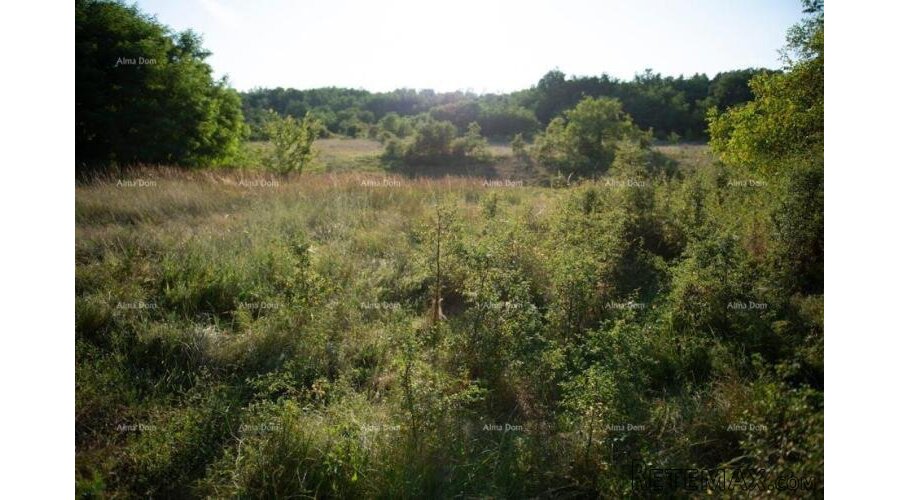 Prodaje se građevinsko zemljište, 900 m2, s projektom za v.. - 3