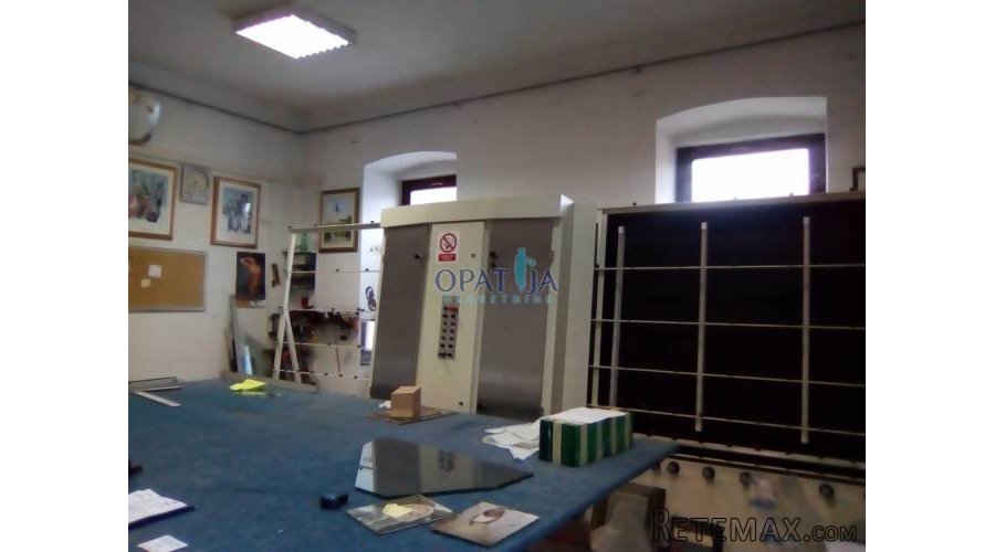 Sveti Ivan Zelina, stan 110 m2 s poslovnim prostorom 120 m2..