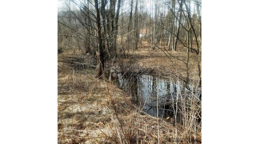 Odličan građevinski teren u Jasenku, Bjelolasica - 3