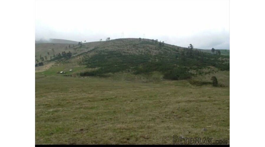 Zlatiborski Dukat-zemljiste,investicija-Čigota - 14