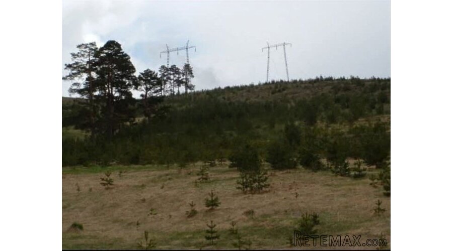 Zlatiborski Dukat-zemljiste,investicija-Čigota - 15