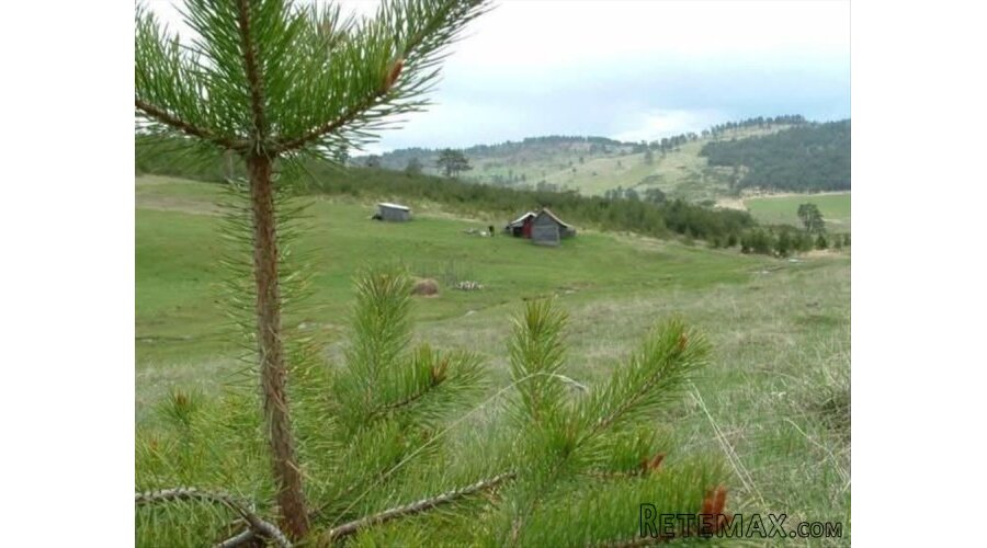 Zlatiborski Dukat-zemljiste,investicija-Čigota - 18