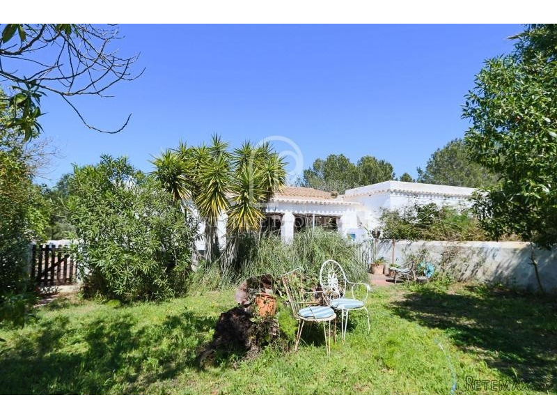 Authentic finca in the middle of nature - 2