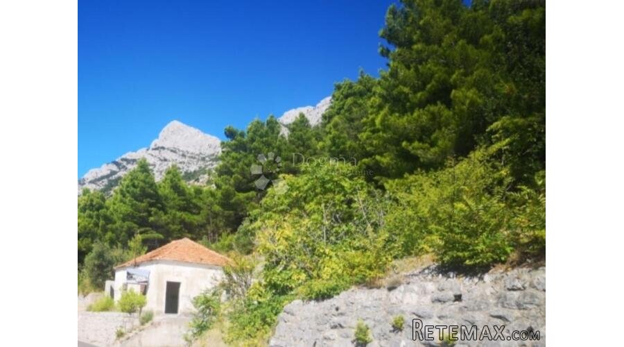 Kuća za adaptaciju sa 2000 m2 zemljišta