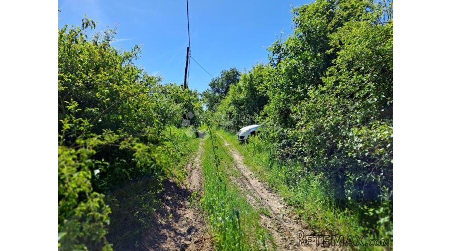 Šumska farma 40 km od Zg - 2