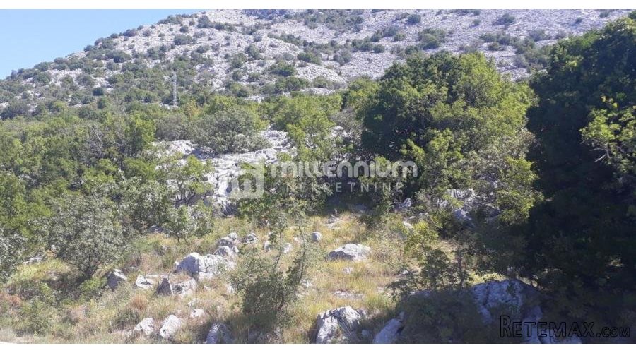 Karlobag, Barić Draga, zemljište 100m od mora - 3