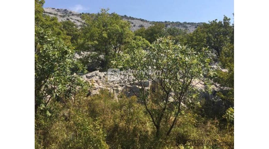Karlobag, Barić Draga, zemljište 100m od mora - 5