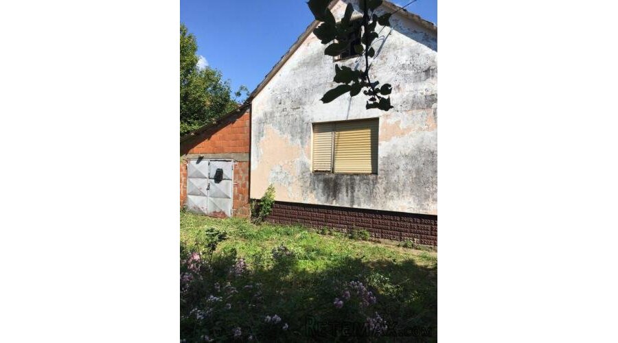 Investicijski potencijal – Salaš s dvije kuće u prirodi - 2