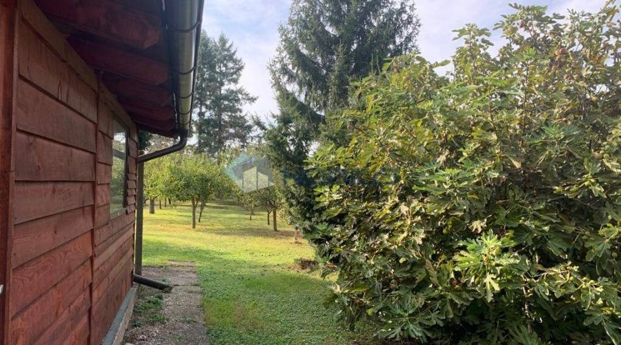 Varaždin, širi centar, kuća s radionicom i voćnjakom - 10