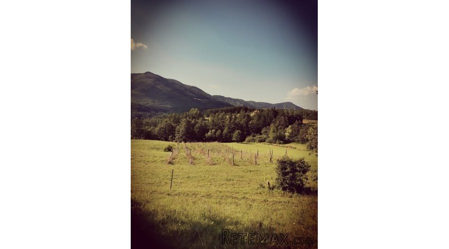 Prodaja zemljista planina Tara - 2