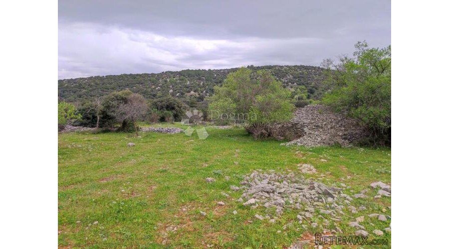 Brač, Selca – poljoprivredno zemljište 11.274 m² - 2