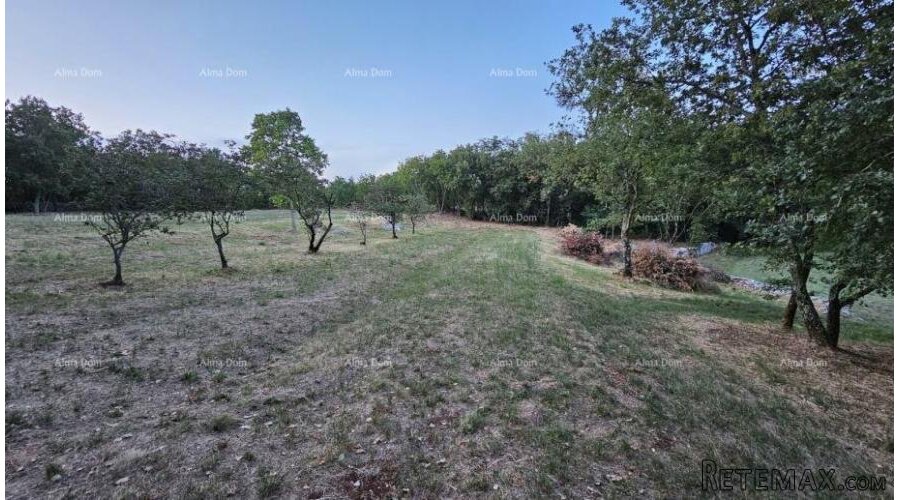 TINJAN - Građevinsko zemljište 3.623 m² - 2