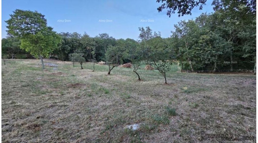 TINJAN - Građevinsko zemljište 3.623 m² - 5