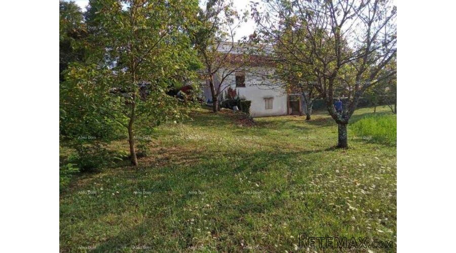 PAZIN - Prodaje se građevinsko zemljište od 2493 m² - 2