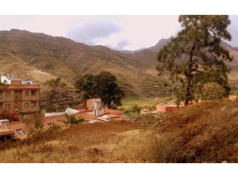 Beautiful Restored Finca in the Heart.. - 2