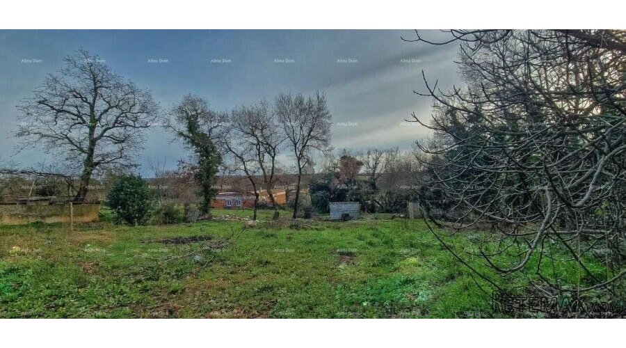 Nova Vas (Brtonigla) – Građevinsko zemljište 555 m² - 2