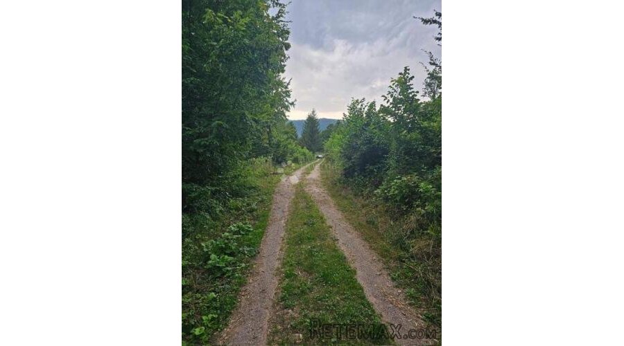 Vrbovsko, predivni tereni u šumskoj oazi - 3
