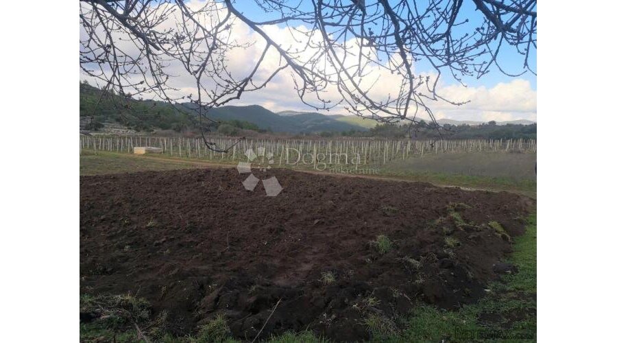 POLJOPRIVREDNO ZEMLJIŠTE, SMOKVICA - OTOK KORČULA