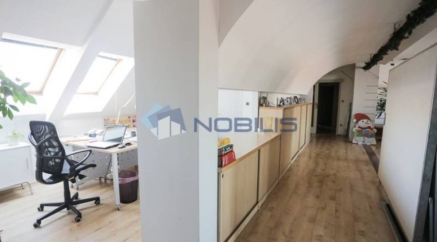 Zagreb, Centar, 250 m2 + 7 parking mjesta - 5
