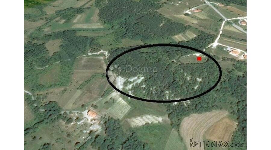 Građevinsko zemljište (2000m2) s bogatom šumom (36789 m2)