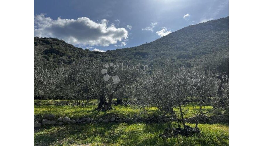 Pelješac, Građevinsko zemljište Trpanj - 2