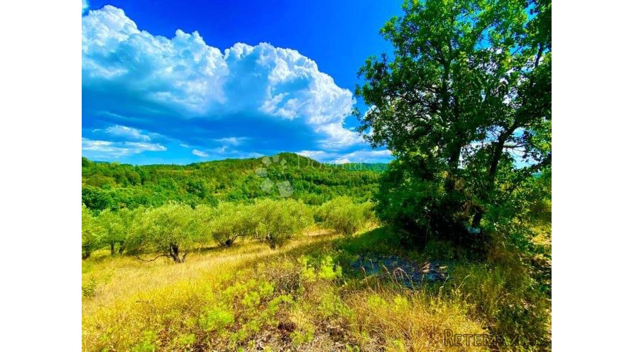 Građevinsko zemljište centralna Istra - 3