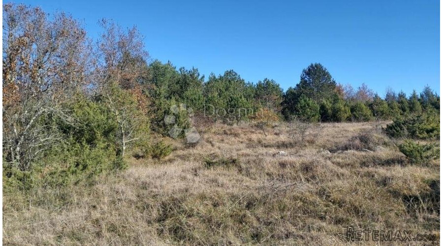 SPUŠTENA CIJENA!!! Poljoprivredno zemljište, pašnjak i šuma - 2